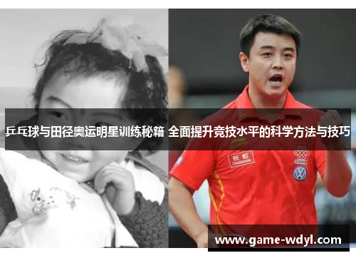 乒乓球与田径奥运明星训练秘籍 全面提升竞技水平的科学方法与技巧