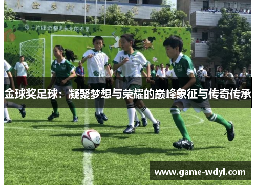 金球奖足球:凝聚梦想与荣耀的巅峰象征与传奇传承