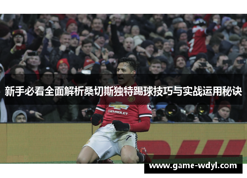 新手必看全面解析桑切斯独特踢球技巧与实战运用秘诀