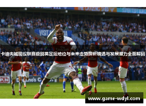 卡迪夫城现役联赛级别英足坛地位与未来走势探析境遇与发展潜力全面解码