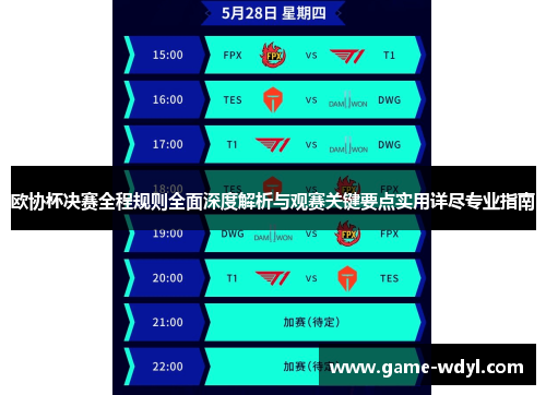 欧协杯决赛全程规则全面深度解析与观赛关键要点实用详尽专业指南